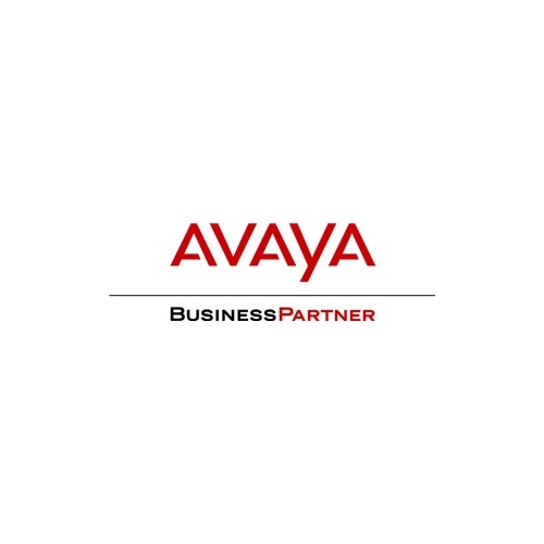 AVAYA - Business Partner